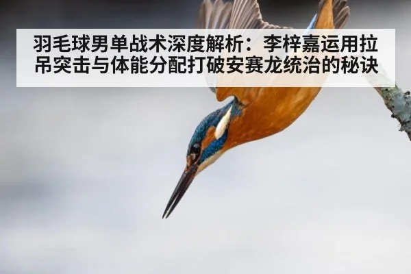 羽毛球男单战术深度解析：李梓嘉运用拉吊突击与体能分配打破安赛龙统治的秘诀