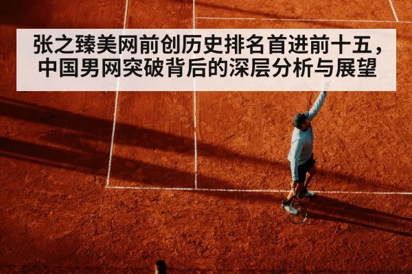 张之臻美网前创历史排名首进前十五，中国男网突破背后的深层分析与展望