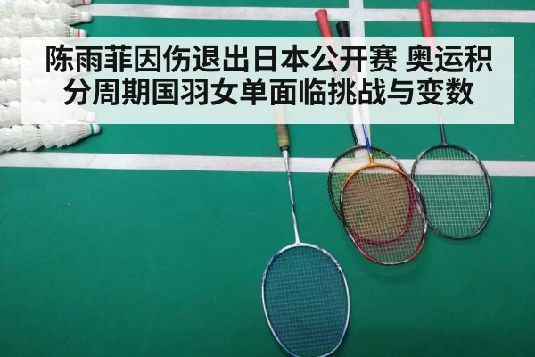 Olympic badminton match