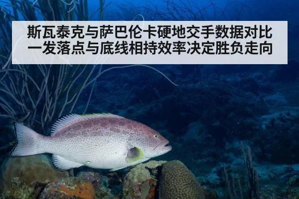 斯瓦泰克与萨巴伦卡硬地交手数据对比 一发落点与底线相持效率决定胜负走向